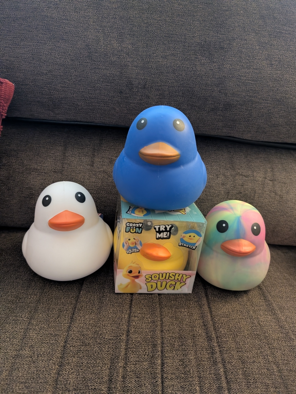 Bundle Of Squishy Ducks
